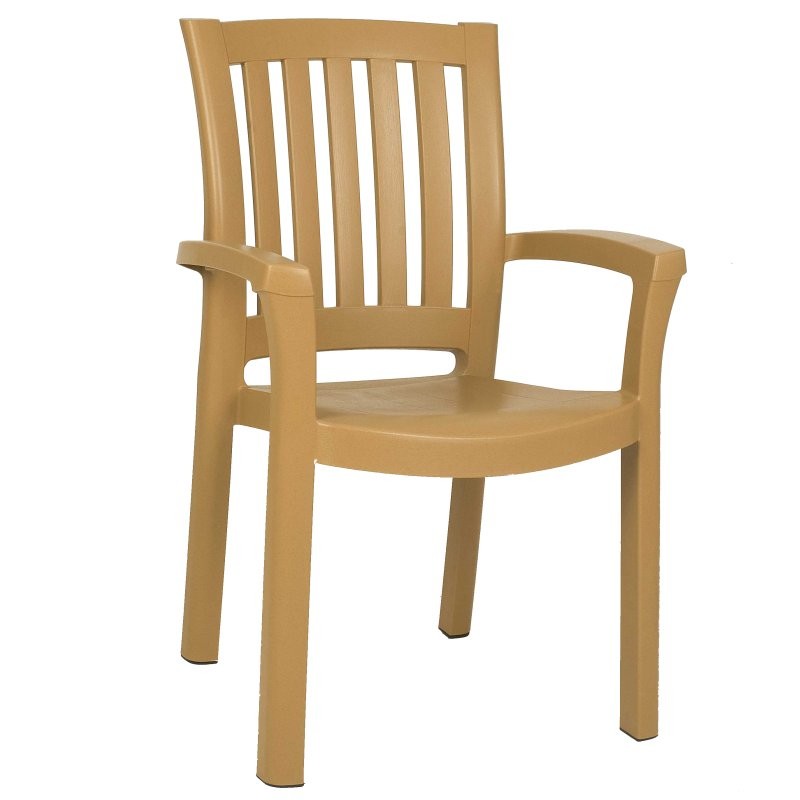 Sunshine Resin Arm Chair Brown ISP015-TEA | CozyDays